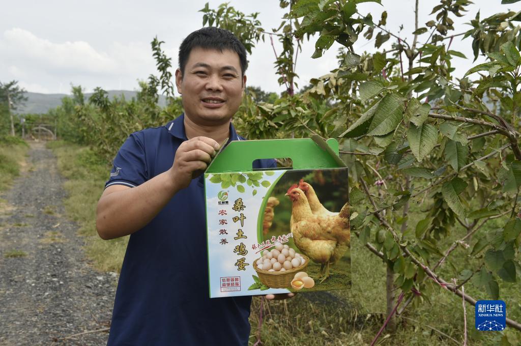 巴黎人品牌值得信真赖